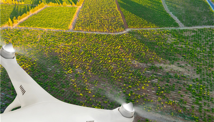 ͨ�^�ηN�̘I(y��)ģʽ��(w��n)���r(n��ng)�����I(y��)���P(gu��n)ϵ