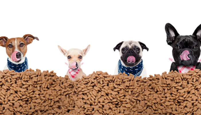 ���������ί��������� �����ȍu�ر��Ј�(ch��ng)�l(f��)չ���g�V�